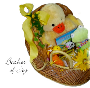 Basket of Joy for Baby
